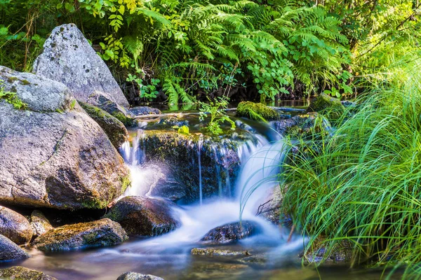 Relaxing landscape of a river with water flowing between the stones and making beautiful waterfalls