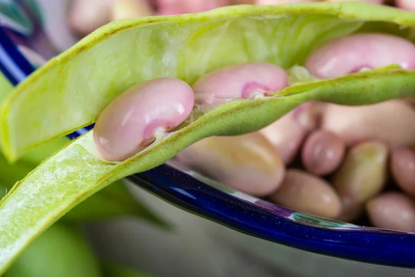 Getting Beans Pods Preparing Them Cooking Kitchen — Stock Photo, Image