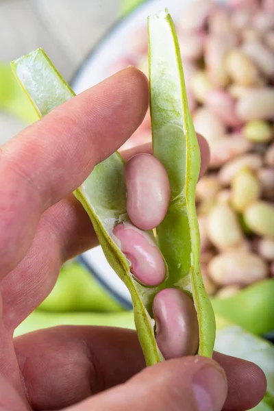 Getting Beans Pods Preparing Them Cooking Kitchen — Stock Photo, Image