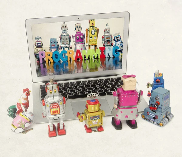 robot kids lear programing on a laptop  isolated