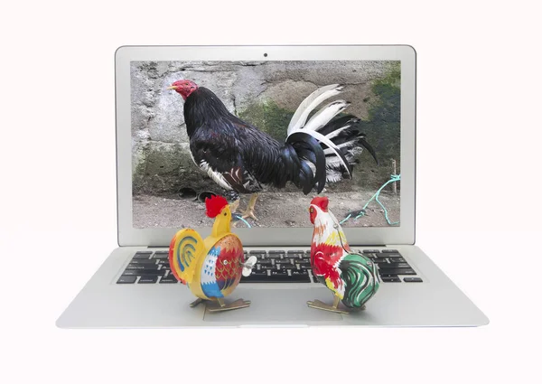 Two tin toy chickens watch a film about animal crulty — Stock Photo, Image