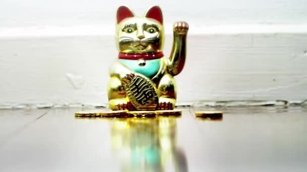 Szczęśliwy Kot Złoto Pieniądze Spadające — Wideo stockowe