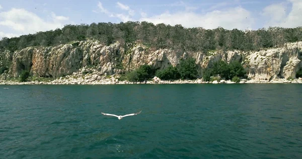 Insel Golem Grad Einem See Prespa Mazedonien Bild — Stockfoto
