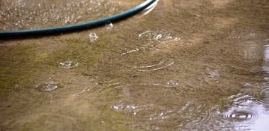 yaz yağmur damlaları ve dalgalanmalar, görüntü bir