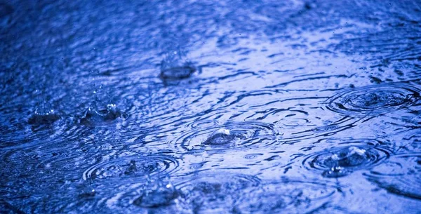 Summer Raindrops Ripples Image — Stock Photo, Image