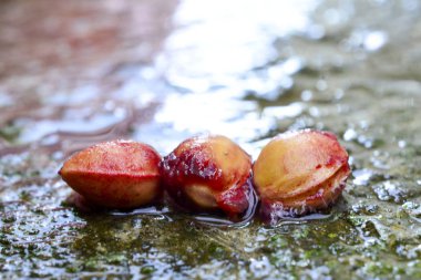 çukurları kırmızı olgun çiğ kiraz, bir görüntü POF