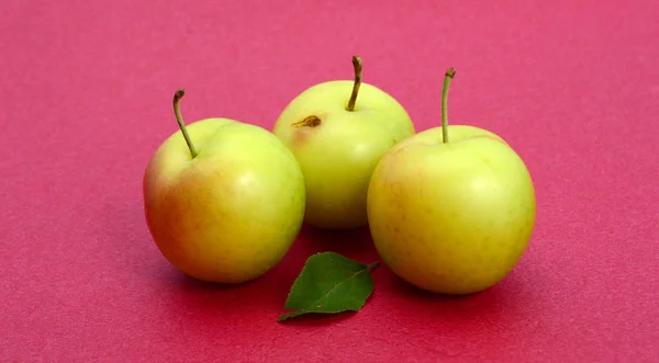 Reine Bio Pflaumenfrucht Bild Einer — Stockfoto