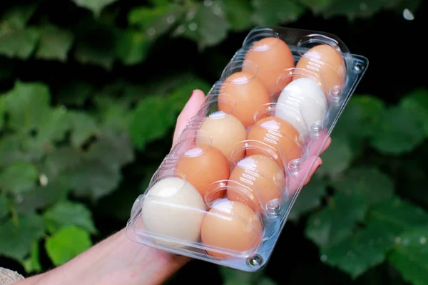 Manos de mujer sosteniendo huevos en un paquete de plástico —  Fotos de Stock