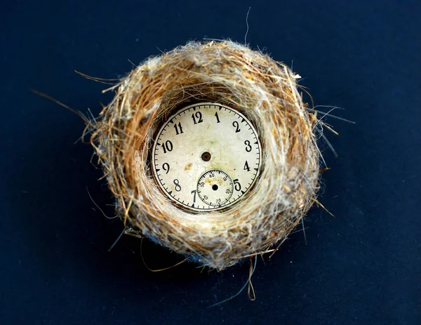 Horloge Rouillée Vintage Dans Nid Oiseau Fond Noir Image — Photo