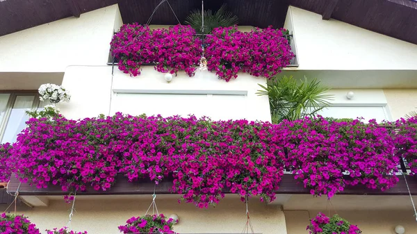 Flores Balcón Una Casa Macedonia — Foto de Stock