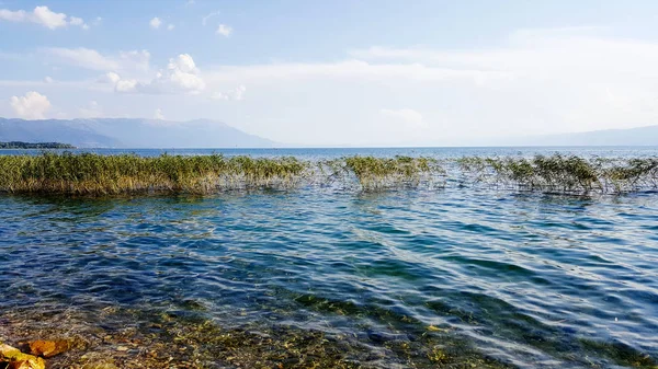 Junco em um lago ohrid na macedônia — Fotografia de Stock