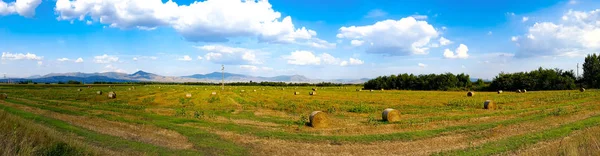 Paanorama z pola pszenicy w Macedonii — Zdjęcie stockowe