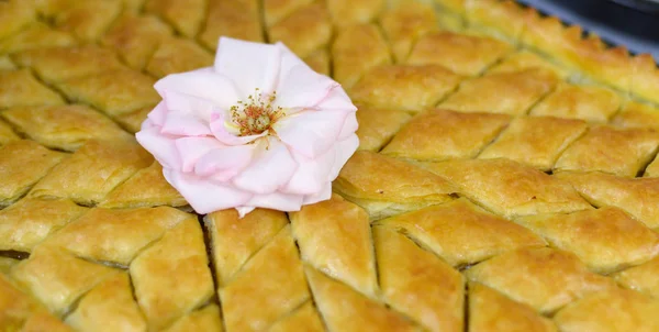 Turkish Dessert Baklava dengan kenari di atas meja — Stok Foto