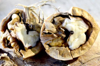 olgun organik ceviz ahşap arka plan, görüntü üzerinde bir