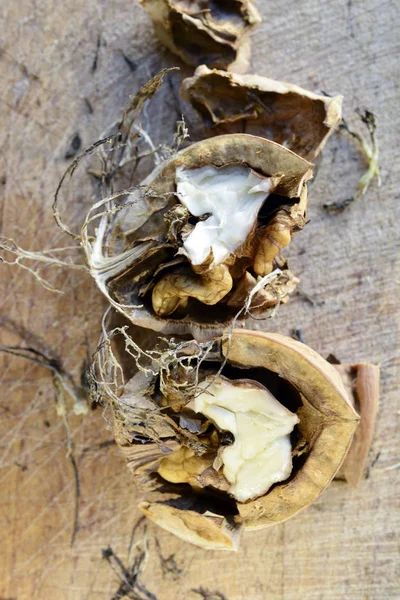 木材の背景のイメージに熟した有機クルミ — ストック写真