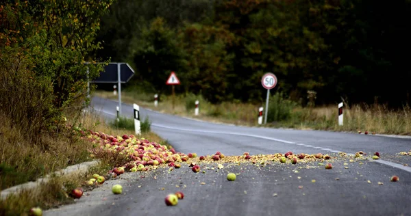 Olgun Elma Bir Asfalt Yolda Görüntüsünü Yayılmış Bir — Stok fotoğraf