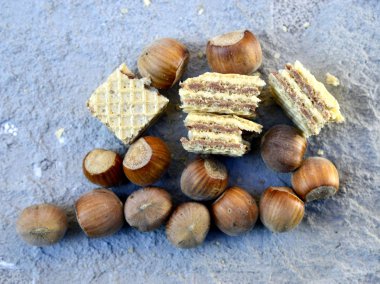 Gofret kakao krema ve fındık, görüntü ile bir