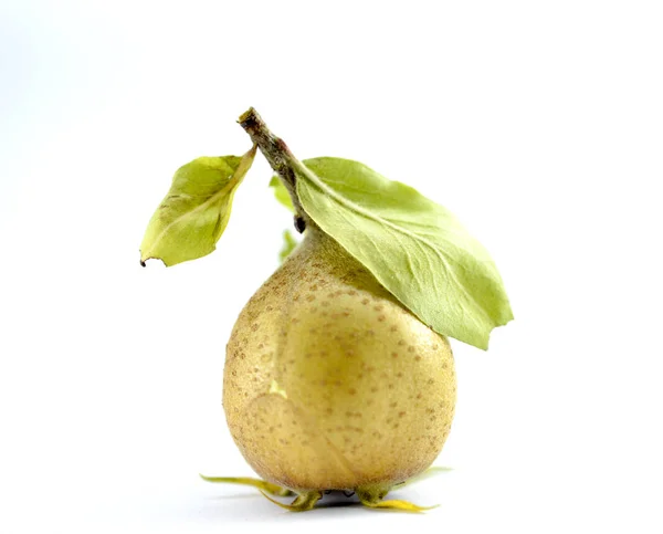 Gemensamma Medlar Eller Mespilus Germanica Studio Skott Bild — Stockfoto