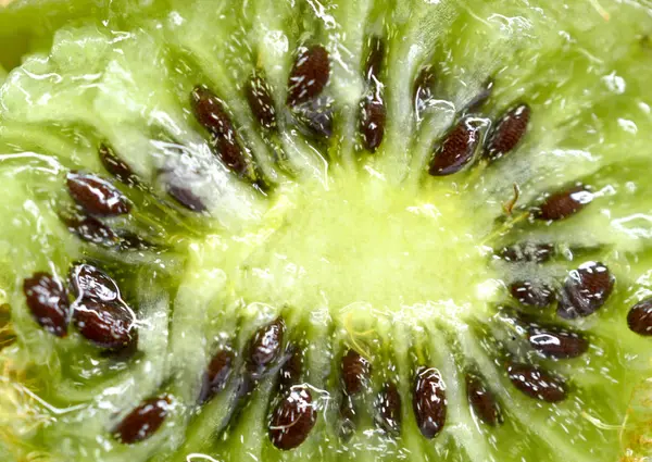 Strzał makro owoców kiwi — Zdjęcie stockowe