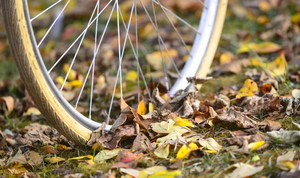 Велосипедные Колеса Пневматика Осенних Листьях Изображение — стоковое фото