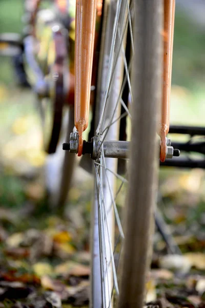 Las Ruedas Bicicleta Neumática Sobre Las Hojas Otoñales Imagen — Foto de Stock