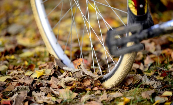 Las Ruedas Bicicleta Neumática Sobre Las Hojas Otoñales Imagen — Foto de Stock