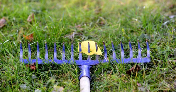 Tuin Gereedschap Blad Hark Met Één Blad Beeld Van Een — Stockfoto