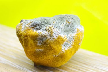 çürük limon, bir narenciye meyve görüntü