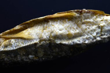 Kuru balık inci balığı belvica, Prespa, Makedonya, görüntü ünlü tzironka