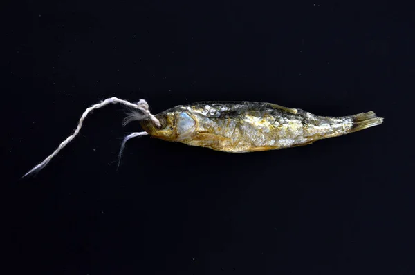 乾燥魚 プレスパ マケドニア 画像からの有名な Tzironka Alburnus Belvica — ストック写真