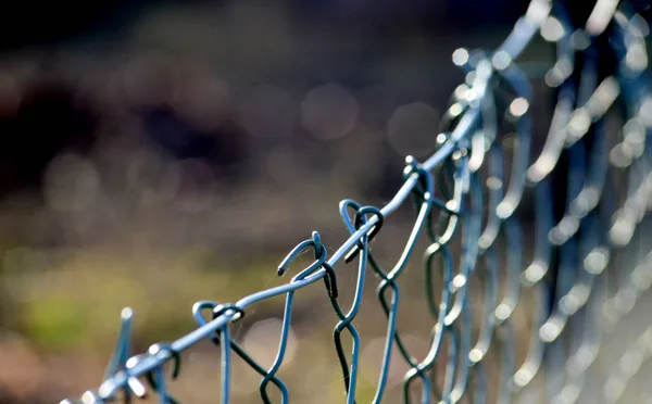 Železná síť drátěný plot, mělké dof — Stock fotografie