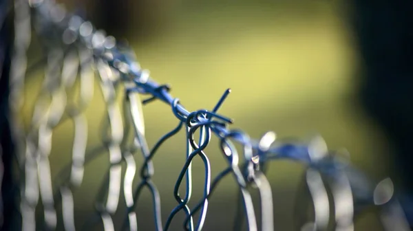 Cerca de arame de malha de ferro, dof raso — Fotografia de Stock