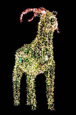 Noel reindeer, dekorasyon, ışıklar, tatil tema görüntüsünü bir