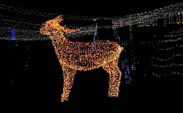 休日のテーマのイメージのライト 装飾クリスマスのトナカイ — ストック写真