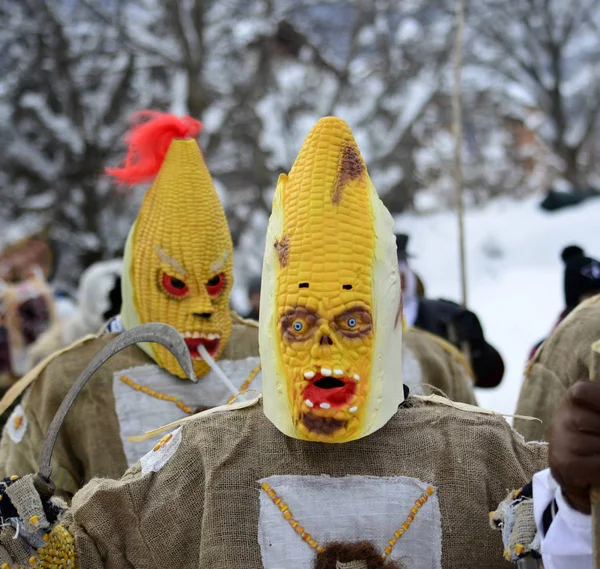 Vevcani Macedonië Januari 2019 Algemene Atomosphere Met Verkleed Van Deelnemers — Stockfoto