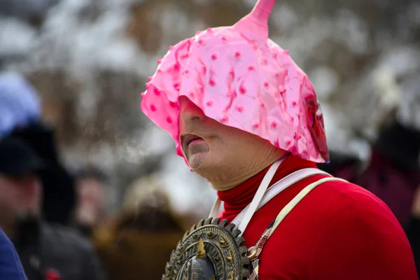 Vevcani Macedonië Januari 2019 Algemene Atomosphere Met Verkleed Van Deelnemers — Stockfoto