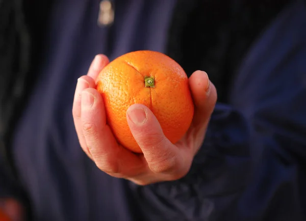 Hands holding fresh orange fruits — Stock Photo, Image