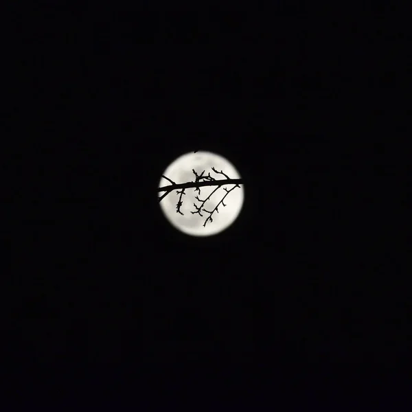 Luna Nieve Invierno Imagen Una — Foto de Stock