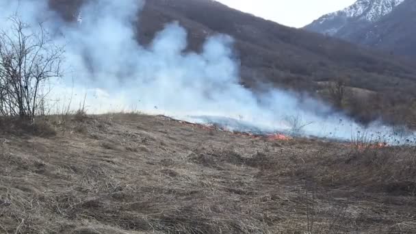 herbe sèche brûlante près de la route asphaltée 