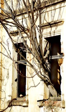 Windows, bir eski terk edilmiş ruinied buliding,