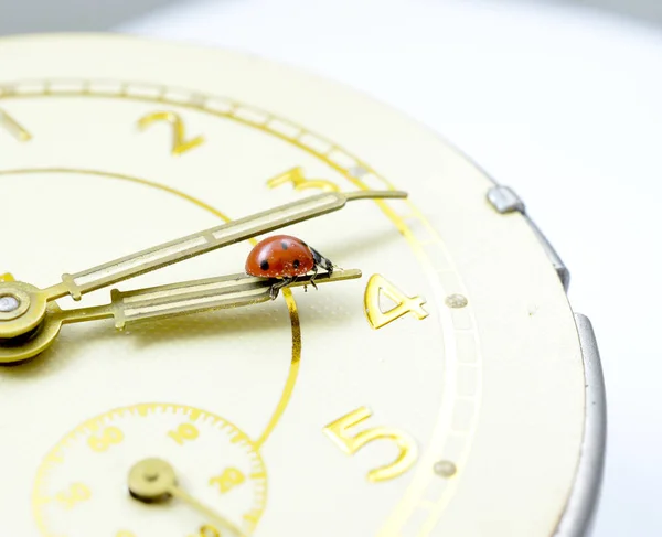 Nyckelpiga på en gammal klockyta. — Stockfoto