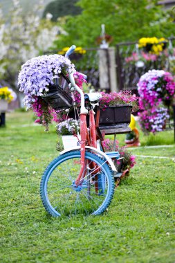 Bahçe arka planda düğün ve sevgililer eski bisiklet kavramı güzel renkli çiçekler