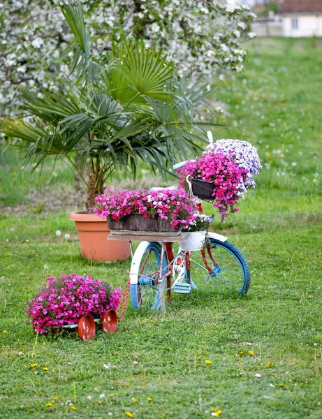 Цветы на старом велосипеде и валентинка на фоне сада — стоковое фото