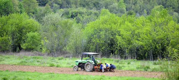 Tractor y los agricultores en el campo plantación de verduras  , —  Fotos de Stock