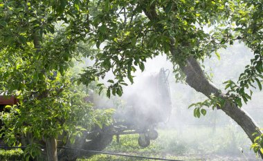 Traktör spreyler insektisit elma meyve bahçesi alanlardaki
