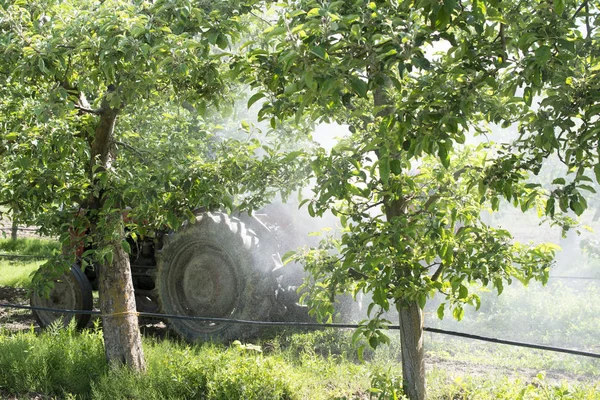 Traktor sprutar insektsmedel i apple orchard fält — Stockfoto