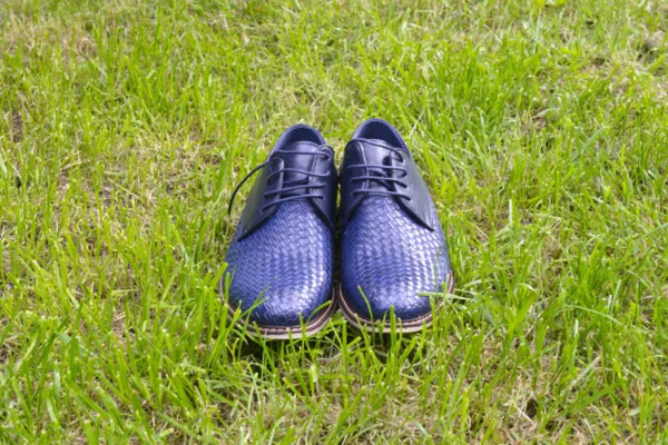 Mens fashion shoes blue, casual design on grass