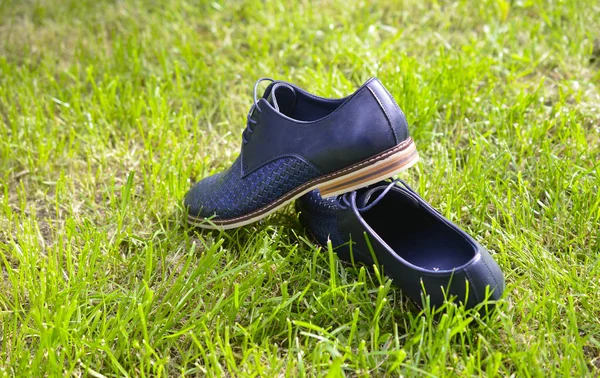 Zapatos de moda para hombre azul, diseño casual en la hierba — Foto de Stock