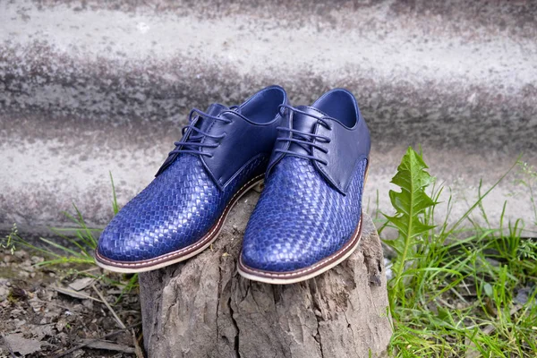 Mens fashion shoes blue, casual design on grass