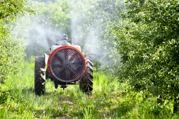 Tractor sprays insecticide in apple orchard fields — Stock Photo, Image